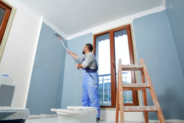 Mold Documentation for Insurance Claims in Fisher, IL