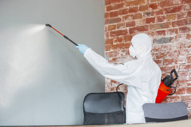 Best Environmental Consulting for Mold Prevention  in Fisher, IL