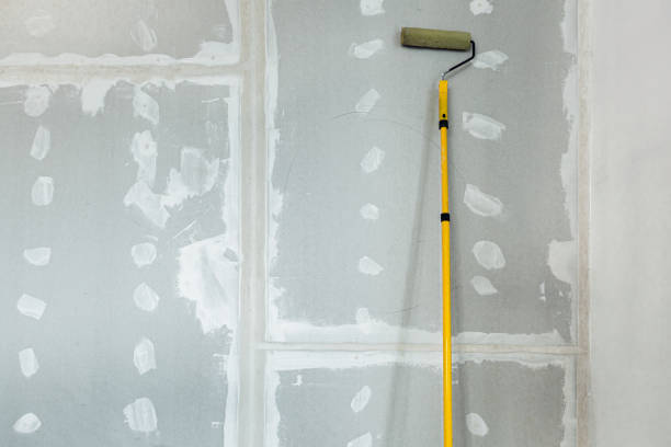 Best HVAC Mold Inspection and Cleaning  in Fisher, IL
