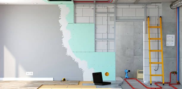 Best Industrial Mold Remediation  in Fisher, IL
