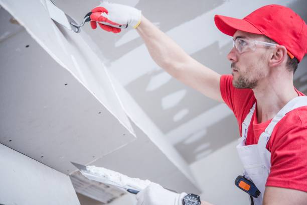 Trusted Fisher, IL Mold Removal Experts